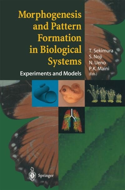 Morphogenesis and Pattern Formation in Biological Systems: Experiments and Models - T Sekimura - Bøger - Springer Verlag, Japan - 9784431659600 - 20. november 2013
