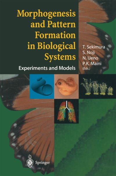 Morphogenesis and Pattern Formation in Biological Systems: Experiments and Models - T Sekimura - Kirjat - Springer Verlag, Japan - 9784431659600 - keskiviikko 20. marraskuuta 2013