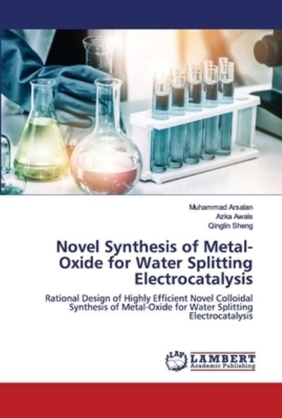Cover for Arsalan · Novel Synthesis of Metal-Oxide (Bok) (2020)