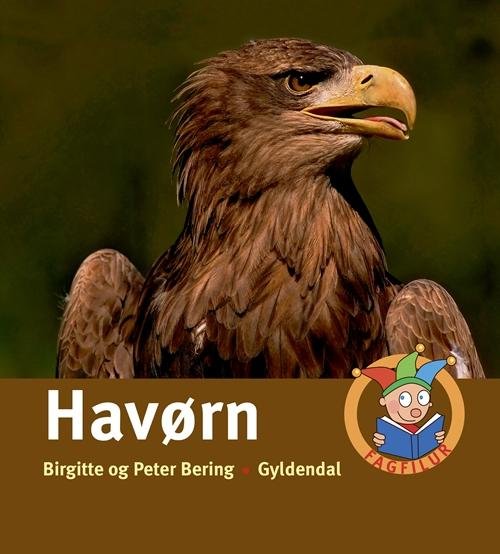 Cover for Peter Bering; Birgitte Bering · Fagfilur: Havørn (Indbundet Bog) [1. udgave] (2015)