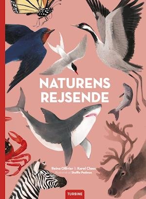 Cover for Reina Ollivier og Karel Claes · Naturens rejsende (Inbunden Bok) [1:a utgåva] (2023)
