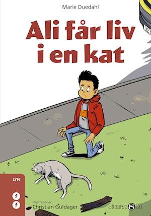 Cover for Marie Duedahl · Lyn: Ali får liv i en kat (Innbunden bok) [1. utgave] (2022)