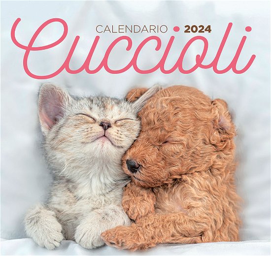 Cover for Aa Vv · Calendario Cuccioli Desk 2024 (N/A)