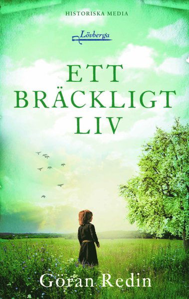 Cover for Göran Redin · Ett bräckligt liv (Paperback Book) (2017)