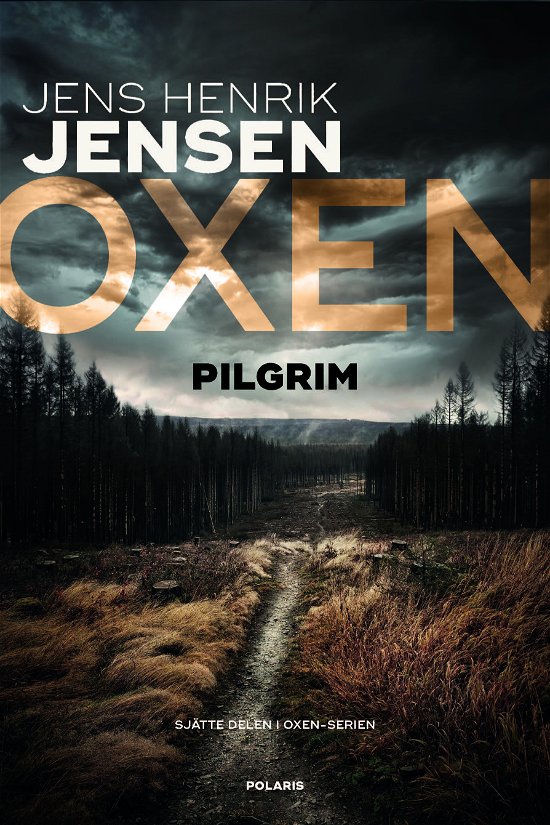 Cover for Jens Henrik Jensen · Pilgrim (Bound Book) (2023)