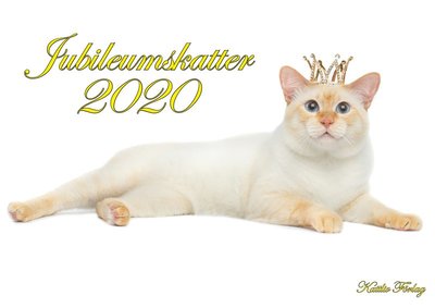 Cover for Andreas Eriksson · Kattliv kalender 2020. Jubileumskatter (Book) (2019)