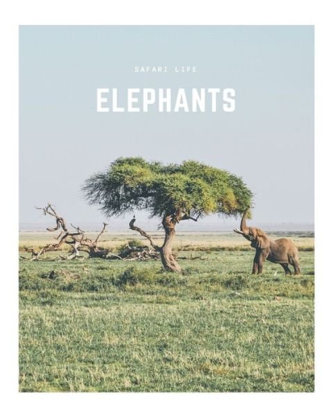 Cover for Decora Book Co · Elephants (Taschenbuch) (2020)