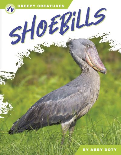 Cover for Abby Doty · Shoebills - Creepy Creatures (Taschenbuch) (2025)