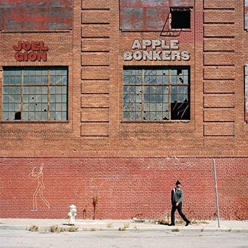 Cover for Joel Gion · Apple Bonkers (LP) (2014)