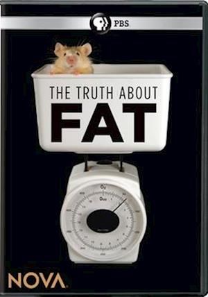 Nova: Truth About Fat (DVD) (2020)