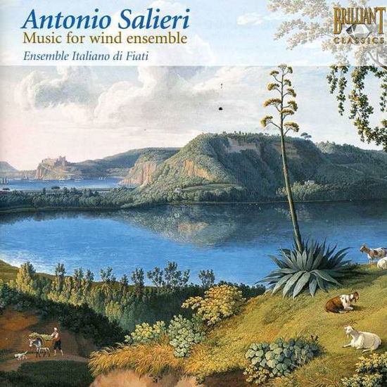 Music for Wind Ensemble - Salieri - Muziek - NAXOS OF CANADA - 0842977033601 - 8 januari 2008