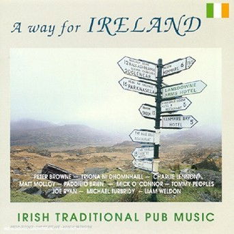 Cover for Irlande · Irish Traditional Pub Music (CD) (2007)