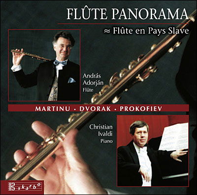 Cover for Andras Adorjan · Flute Panorama (CD) (2013)