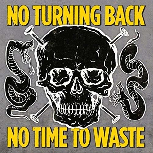Cover for No Turning Back · No Time To Waste (LP) (2017)