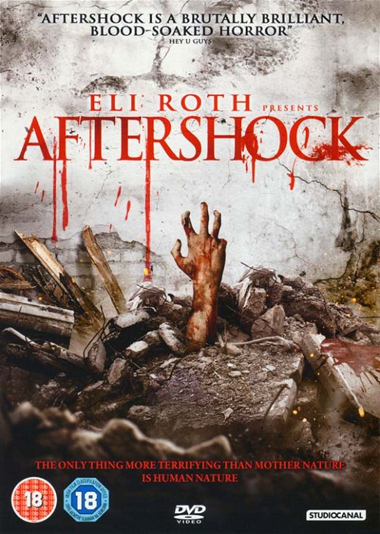 Cover for Aftershock (DVD) (2013)