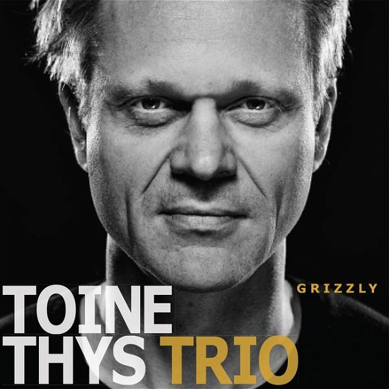 Cover for Toine -Trio- Thys · Grizzly (CD) (2015)