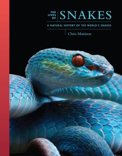 Cover for Chris Mattison · The Lives of Snakes: A Natural History of the World's Snakes - The Lives of the Natural World (Hardcover Book) (2025)