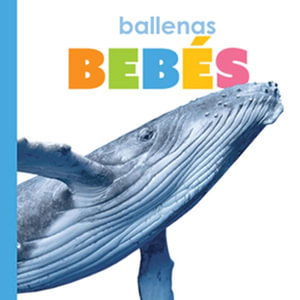 Cover for Kate Riggs · Ballenas Beb&amp;#65533; s (Buch) (2021)