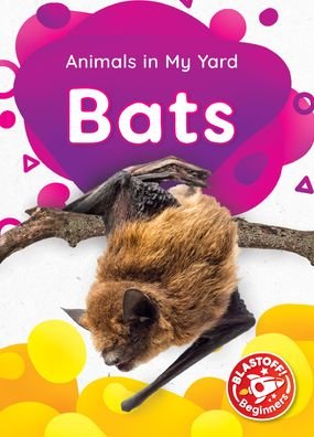 Cover for Amy McDonald · Bats (Hardcover bog) (2021)