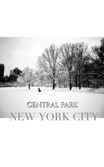 Sir Michael Huhn · Central Park New York City Winter Wonderland Blank Journal (Paperback Book) (2020)