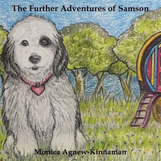 Cover for Monica Agnew-kinnaman · The Further Adventures of Samson (Pocketbok) (2018)