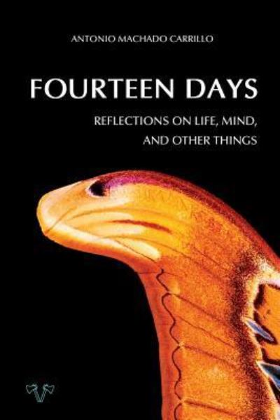 Cover for Antonio Machado Carrillo · Fourteen Days (Paperback Book) (2019)