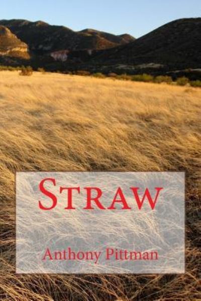 Cover for Anthony Pittman · Straw (Paperback Book) (2017)