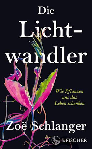 Zoë Schlanger · Die Lichtwandler (Bok) (2024)