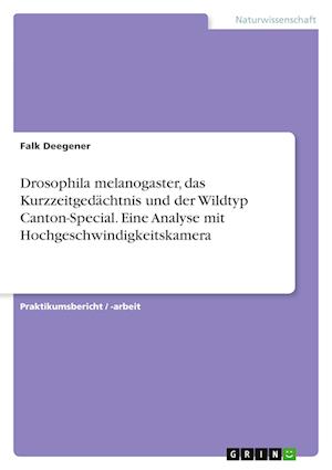 Cover for Falk Deegener · Drosophila melanogaster, das Kurzzeitgedachtnis und der Wildtyp Canton-Special. Eine Analyse mit Hochgeschwindigkeitskamera (Paperback Book) (2021)