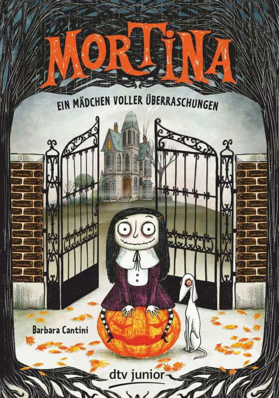 Cover for Cantini · Mortina - Ein Mädchen voller Üb (Book)