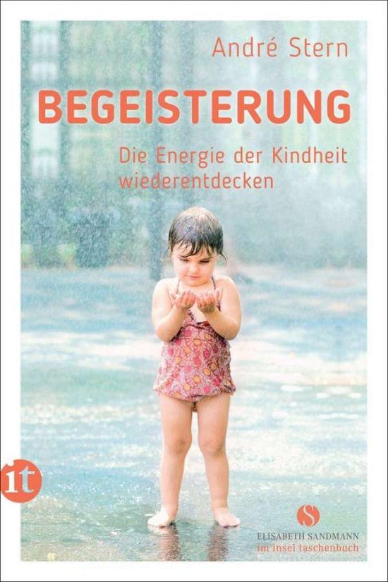 Cover for Stern · Begeisterung (Bok)