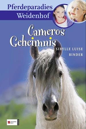 Pferdeparadies Weidenhof. Cameros Geheimnis - Sibylle Luise Binder - Books - Egmont Schneiderbuch - 9783505114601 - July 15, 2001