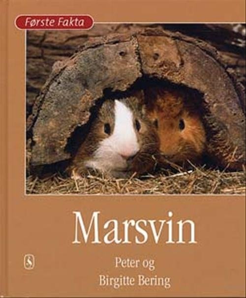 Cover for Peter Bering · Første Fakta: Marsvin (Bound Book) [1. Painos] [Indbundet] (2003)