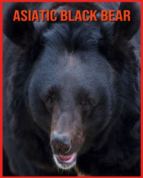 Cover for Linda Davis · Asiatic Black Bear (Paperback Book) (2021)