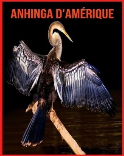 Cover for Linda Davis · Anhinga d'Amerique (Paperback Book) (2021)