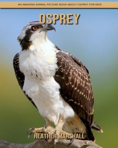 Cover for Heather Marshall · Osprey: An Amazing Animal Picture Book about Osprey for Kids (Taschenbuch) (2021)