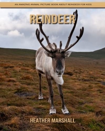 Cover for Heather Marshall · Reindeer: An Amazing Animal Picture Book about Reindeer for Kids (Paperback Book) (2021)