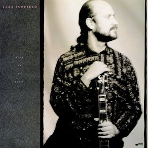 Cover for John Scofield · Time on My Hands (LP) (2015)