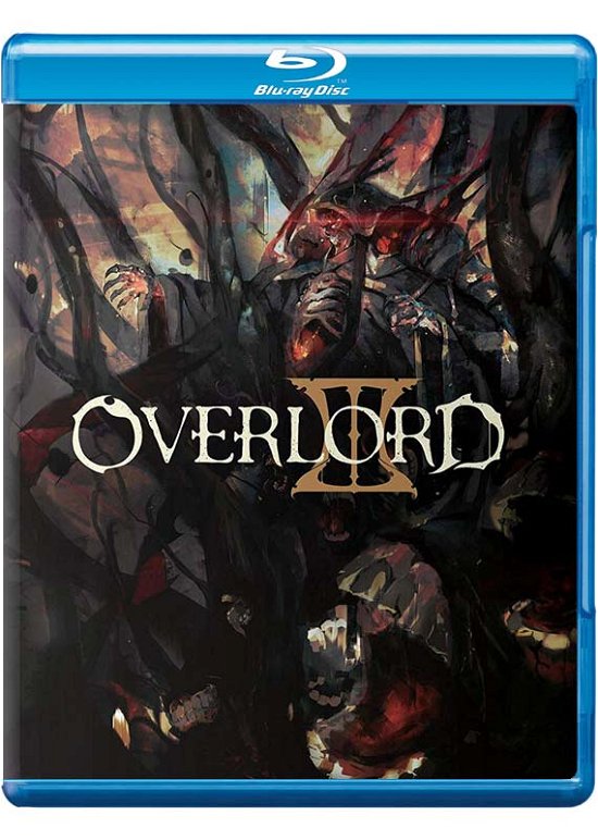 Cover for Blu-ray · Overlord Iii: Season 3 (Blu-ray) (2019)