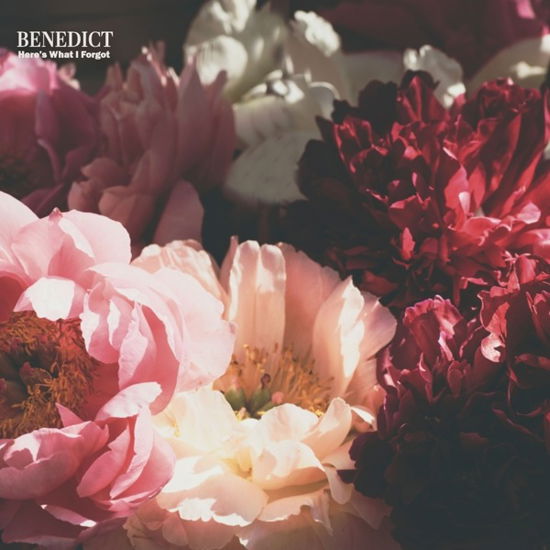 Cover for Benedict · Here's What I Forgot (LP) (2021)