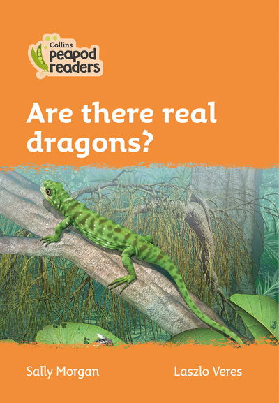 Cover for Sally Morgan · Level 4 - Are there real dragons? - Collins Peapod Readers (Taschenbuch) [British edition] (2020)