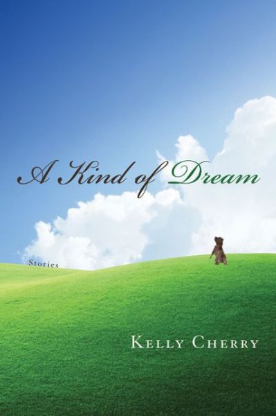 Cover for Kelly Cherry · A Kind of Dream: Stories (Hardcover Book) (2014)