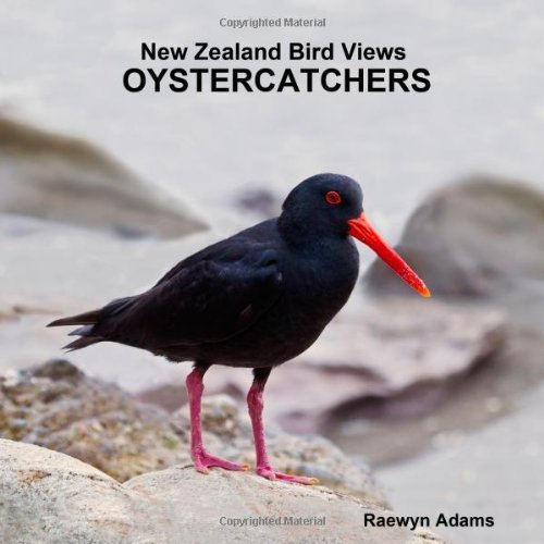 Cover for Raewyn Adams · New Zealand Bird Views : Oystercatchers (Paperback Book) (2013)