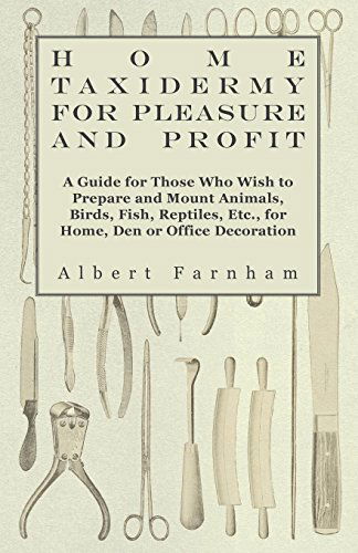 Cover for Albert Farnham · Home Taxidermy for Pleasure and Profit - a Guide for Those Who Wish to Prepare and Mount Animals, Birds, Fish, Reptiles, Etc., for Home, den or Office (Paperback Book) (2010)