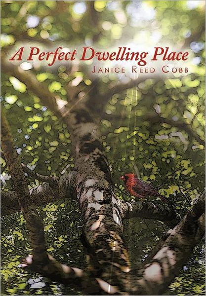 Cover for Janice Reed Cobb · A Perfect Dwelling Place (Hardcover Book) (2011)