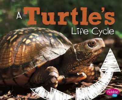 Cover for Mary R. Dunn · Turtle's Life Cycle (Book) (2017)