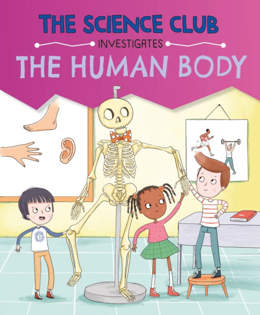 Cover for Mary Auld · The Science Club Investigates: The Human Body - The Science Club Investigates (Paperback Book) (2025)