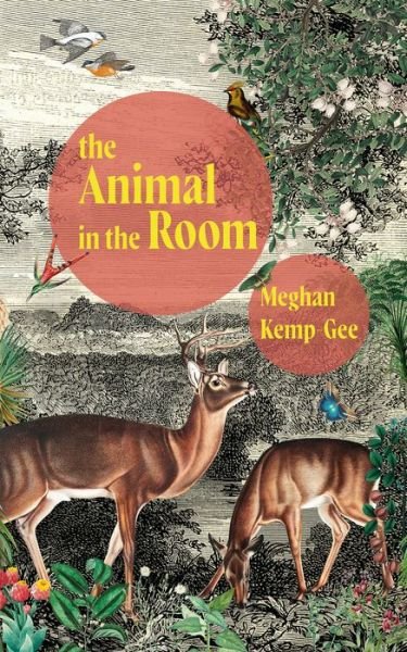 Cover for Meghan Kemp-Gee · The Animal in the Room (Paperback Book) (2023)