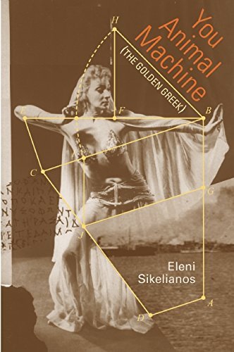 Cover for Eleni Sikelianos · You Animal Machine (The Golden Greek) (Paperback Book) (2014)