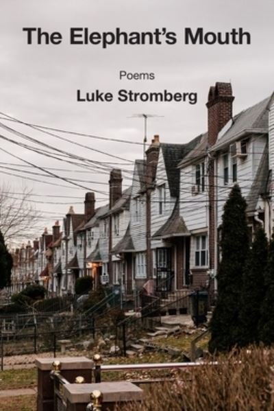 Cover for Luke Stromberg · Elephant's Mouth (Book) (2022)